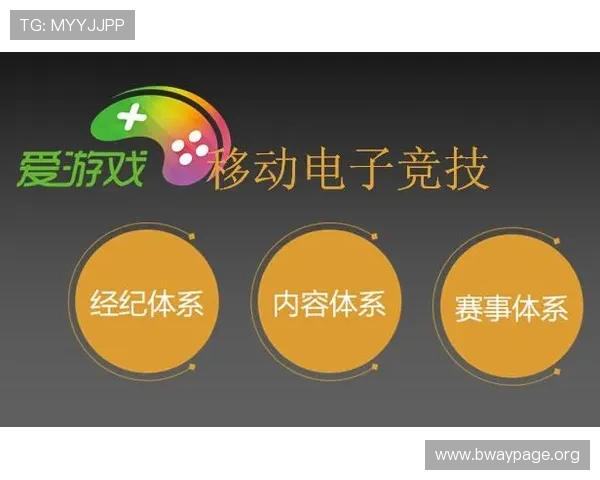 爱游戏电竞平台：专业赛事组织与丰富奖励机制激发玩家热情